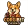 Corgibet